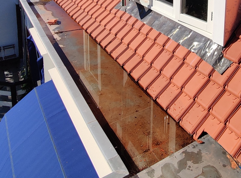 Afbeeldingslocatie: https://tweakers.net/i/EeM0s6juVAbP9rIj7w_rMlZ3Gec=/800x/filters:strip_icc():strip_exif()/f/image/jJFtrXu1P5WRcy0TD4sZnbVT.jpg?f=fotoalbum_large