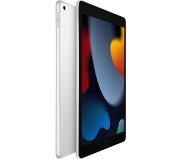 Apple iPad (2021) Wi-Fi 256GB Zilver
