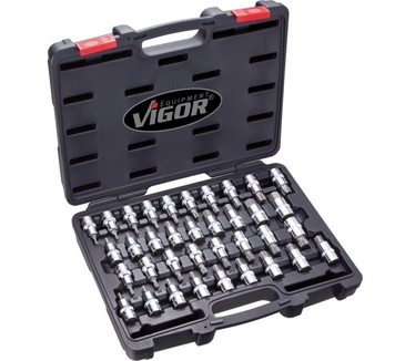 Vigor V2496