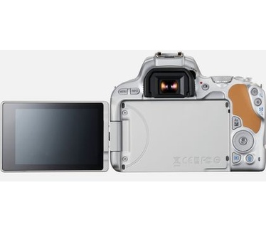 Canon EOS 200D + 18-55mm IS STM CP Zilver