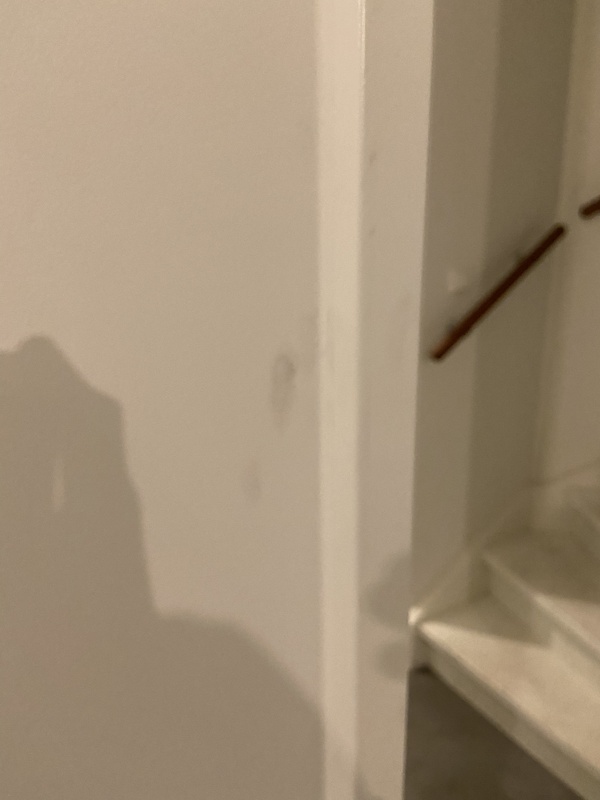 Afbeeldingslocatie: https://tweakers.net/i/EoYFRWfb3x57LaBDasoALMtDJUQ=/x800/filters:strip_icc():strip_exif()/f/image/DC4Auw0AMmmM5ob1HhImqCaA.jpg?f=fotoalbum_large