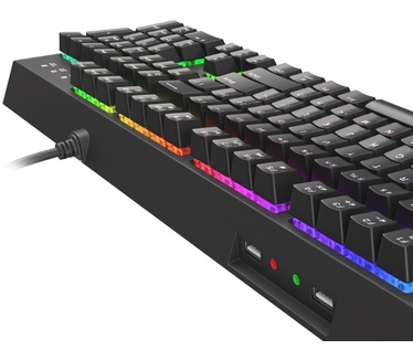 Genesis Thor 210