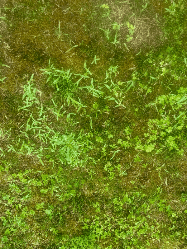 Afbeeldingslocatie: https://tweakers.net/i/Epj_TZj-EnIyUObOQdAq9fs9nBo=/x800/filters:strip_exif()/f/image/Mb8ZQeSTTbRNTXxw4Ftrbdty.png?f=fotoalbum_large