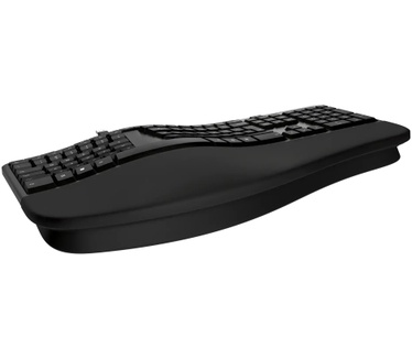 Microsoft Ergonomic Keyboard (Qwerty EN)