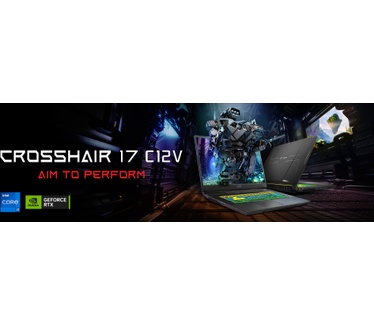 MSI 17 C12VG-220BE