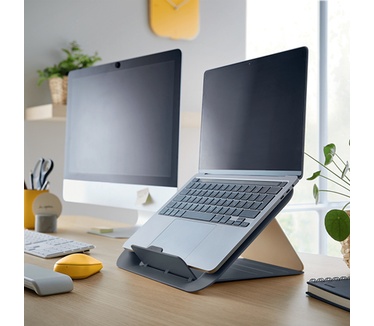Leitz Ergo Cosy