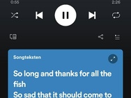 Songteksten in Spotify-app, november 2021