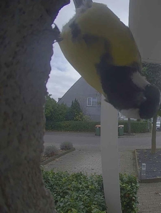 Afbeeldingslocatie: https://tweakers.net/i/ErLvj29yRQyPVWgPI148SfML6Tg=/full-fit-in/4920x3264/filters:max_bytes(3145728):no_upscale():strip_icc():fill(white):strip_exif()/f/image/FtHGXURMPolH1Eu63igxk7E4.jpg?f=user_large