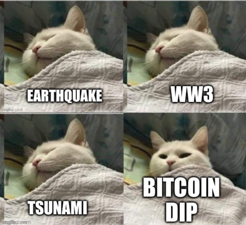 Afbeeldingslocatie: https://tweakers.net/i/Esd5LX_vTS4ZG1A9yIZ-IuB_AvI=/800x/filters:strip_icc():strip_exif()/f/image/IanTu1Ez0nBVv5eO4YSuhhFx.jpg?f=fotoalbum_large