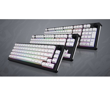 HATOR Skyfall Wireless 100