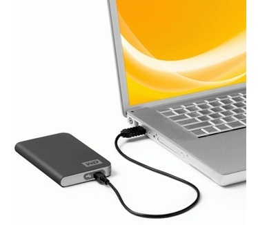 WD Passport 320GB Grijs