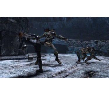 Tomb Raider - Underworld, Wii