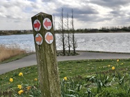 Phone 4a Pro cameratest - 2x zoom