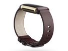 Fitbit Charge 5