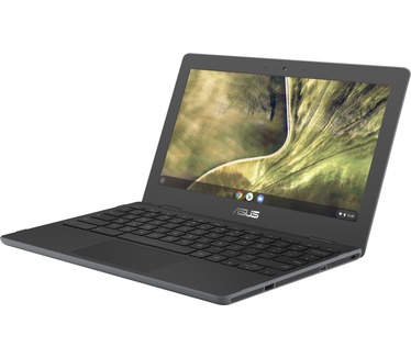 Asus C204MA-GJ0229