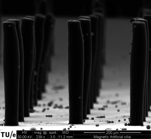 TU/e Cursor trilhaartjes
