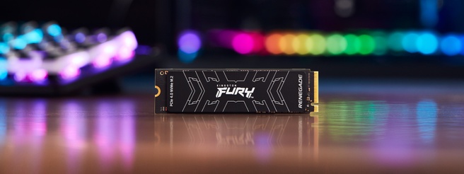 Kingston Fury Renegade ssd