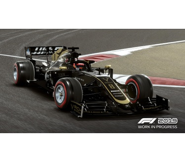 F1 2019 Standard Edition