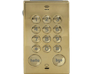 John's Phone John's Phone 1 Bar mobiele telefoon goud