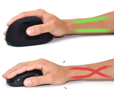 Ewent Wireless Ergonomic Mouse