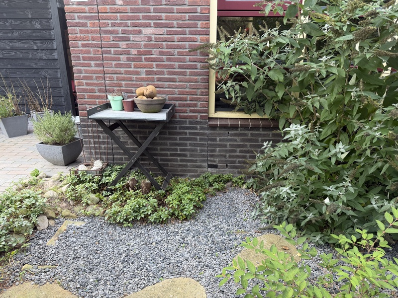 Afbeeldingslocatie: https://tweakers.net/i/F2-PgeXLHS9KOffodhdg4kyYN0A=/800x/filters:strip_icc():strip_exif()/f/image/IdyO2EZ6sgx6Nze5jxNSNQAc.jpg?f=fotoalbum_large