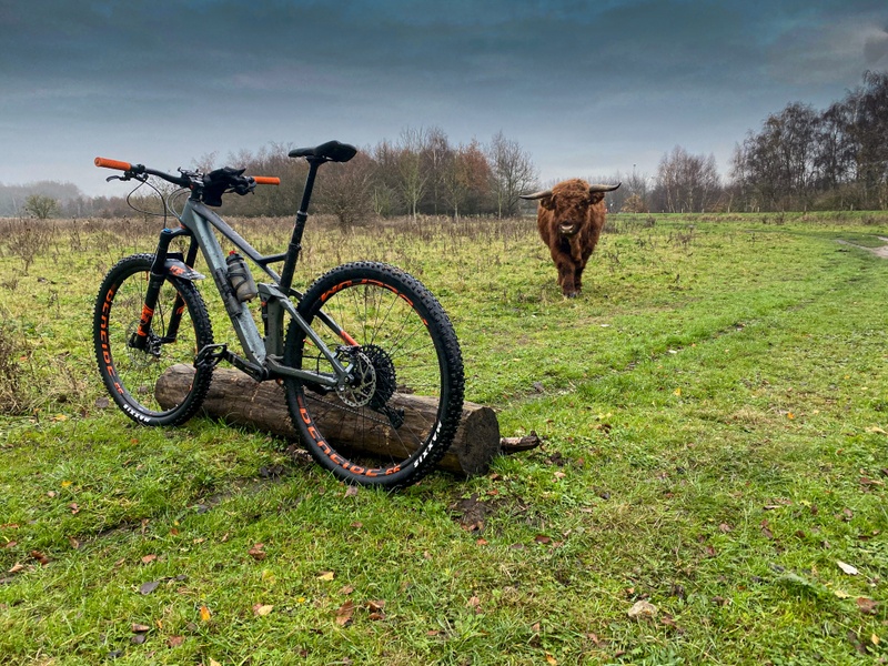 Afbeeldingslocatie: https://tweakers.net/i/F3JyBc-KeOmT3yiN7hmNK8s27yo=/800x/filters:strip_icc():strip_exif()/f/image/6VcAfMgDactxsby4jwsWnFxv.jpg?f=fotoalbum_large