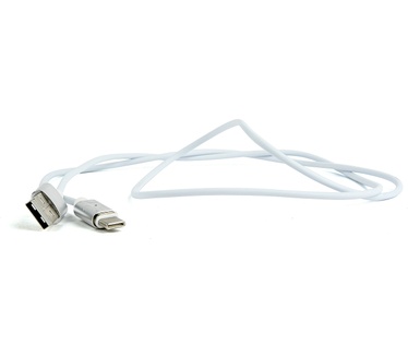 Cablexpert CC-USB2-AMUCMM-1M Zilver