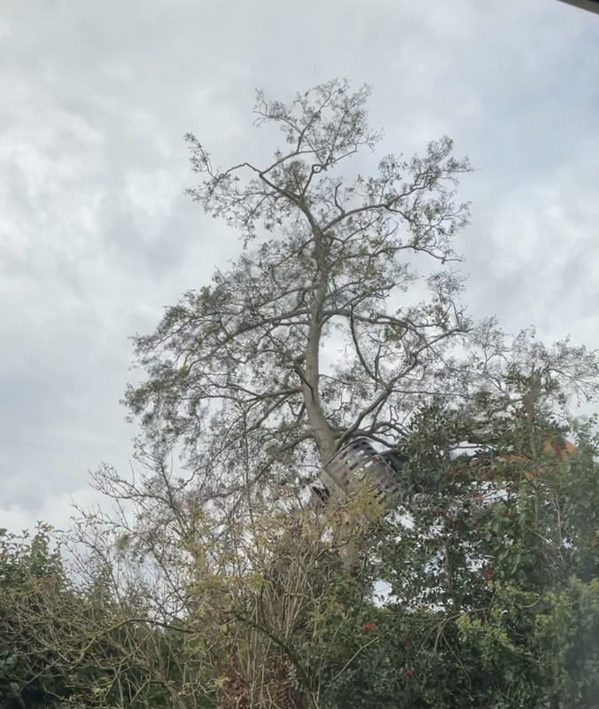 Afbeeldingslocatie: https://tweakers.net/i/F758AMaM1lNYZ-2uKp1caa3lxps=/x800/filters:strip_icc():strip_exif()/f/image/9xthRNMNXKnIvu7uxrymoLzw.jpg?f=fotoalbum_large