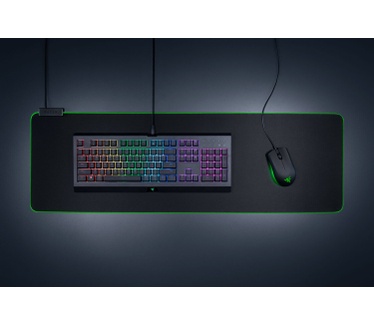 Razer Abyssus Essential Gaming Mouse