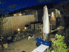 https://tweakers.net/i/F9Yk_y3SXTHtWZHDUqGaBF8hx7M=/234x176/filters:gifsicle():strip_exif()/f/image/gIoJSnB992On0BBaiEFZKxT1.gif?f=fotoalbum_medium