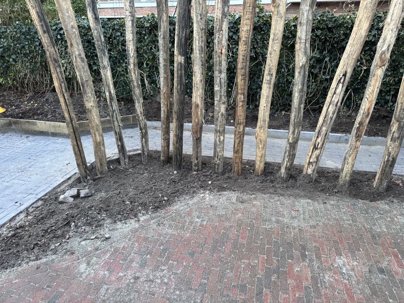 Afbeeldingslocatie: https://tweakers.net/i/FAWfKz36qfq3ltjkkxfY26xUNnA=/800x/filters:strip_icc():strip_exif()/f/image/csPv2zKAN255N1NUWYJsYhw2.jpg?f=fotoalbum_large