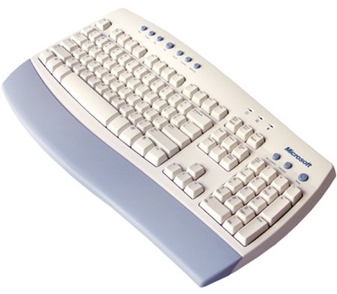 Microsoft Internet Keyboard (PS/2)