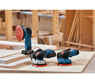 Bosch GEX 12V-125 Professional