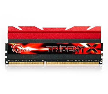 G.Skill F3-2400C10D-16GTX
