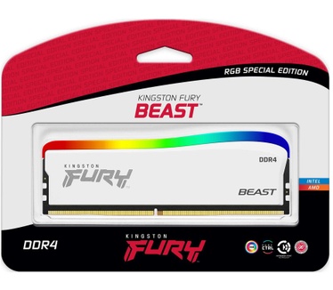 Kingston FURY Beast RGB Special Edition