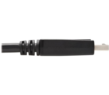 Tripp-Lite P581AB-006