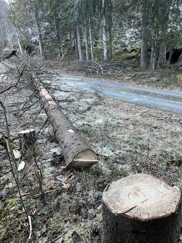 Afbeeldingslocatie: https://tweakers.net/i/FTP0sA3gGKzYMUIk9jJ4q4yZyOE=/x800/filters:strip_icc():strip_exif()/f/image/B0dnxlvGOkVBp23yNwqnwloX.jpg?f=fotoalbum_large