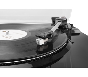 Audizio RP310