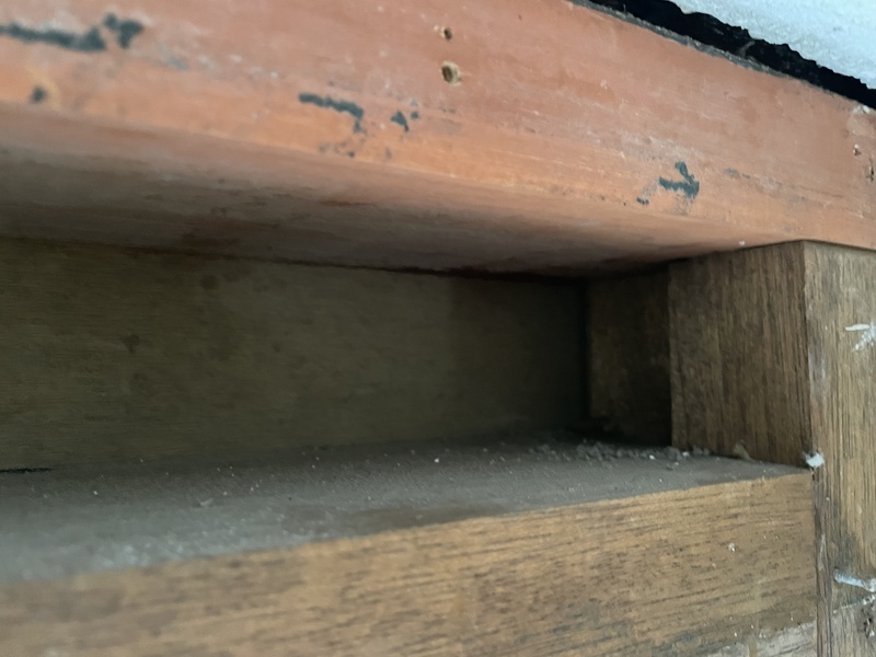 Afbeeldingslocatie: https://tweakers.net/i/FXAYx-Q0fkMnoqm2rx86AccBctg=/800x/filters:strip_icc():strip_exif()/f/image/7HxhnPaEZlfG4vGdFf4Oh6eL.jpg?f=fotoalbum_large