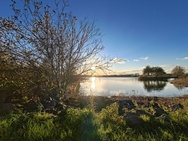 OnePlus 15 cameratest - Ultrawide