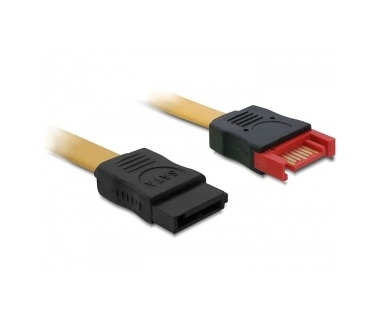 Delock 0.3m SATA III