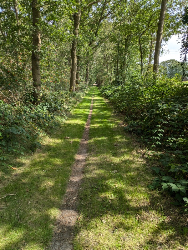 Afbeeldingslocatie: https://tweakers.net/i/Fdd6Tg1z00SkgRD9S1d10wq6LSw=/x800/filters:strip_icc():strip_exif()/f/image/ObF4PkDu3iYIU4WIcm80HMZP.jpg?f=fotoalbum_large