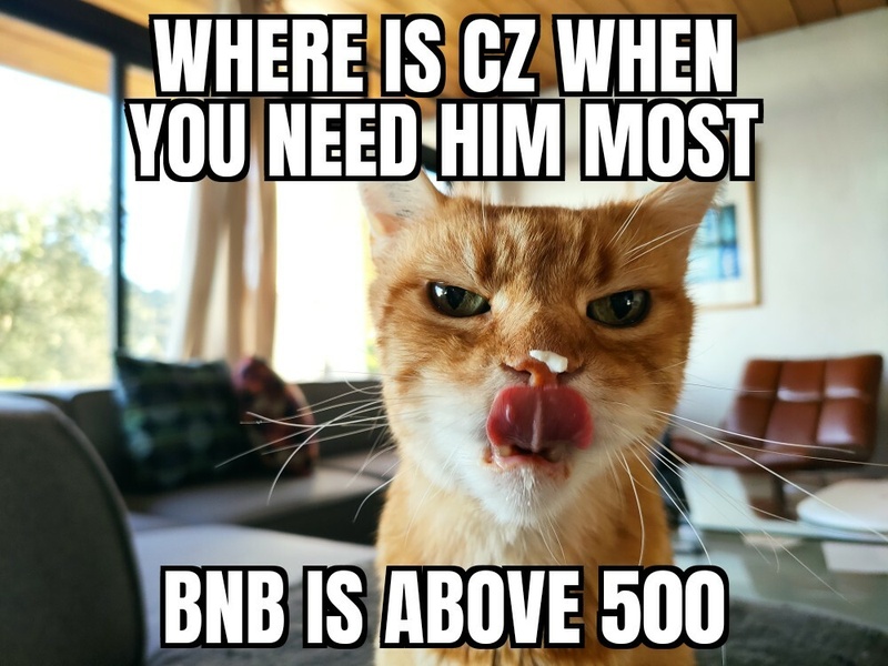 Afbeeldingslocatie: https://tweakers.net/i/FeVYGvArlG9S202NEqcSvqvGryw=/800x/filters:strip_icc():strip_exif()/f/image/gTuopsgyCTVXD0AV5w6Dvp4F.jpg?f=fotoalbum_large
