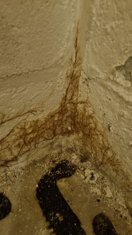 Afbeeldingslocatie: https://tweakers.net/i/FfftIWMtmVFuvF042d45en4kSf8=/x800/filters:strip_icc():strip_exif()/f/image/9to3Lq6kCeHVZR4pnVDR1F39.jpg?f=fotoalbum_large