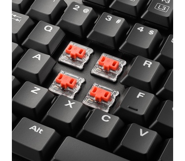 Sharkoon PureWriter TKL Kailh Red (Qwerty US)