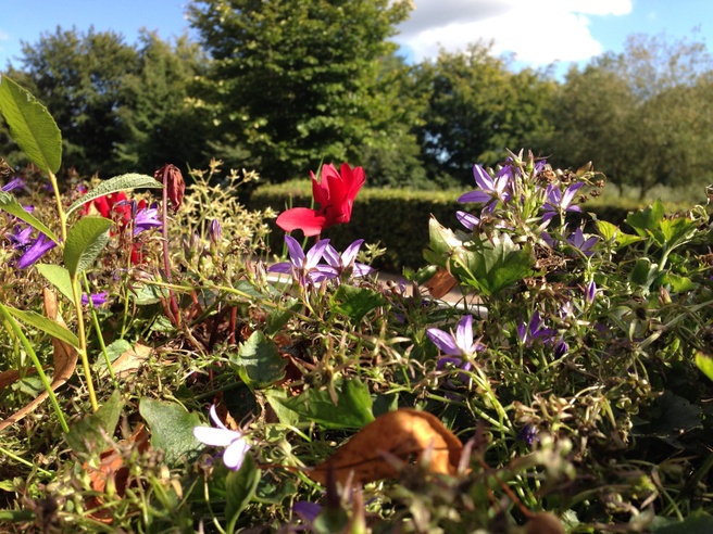 Foto gemaakt met iPhone 5
