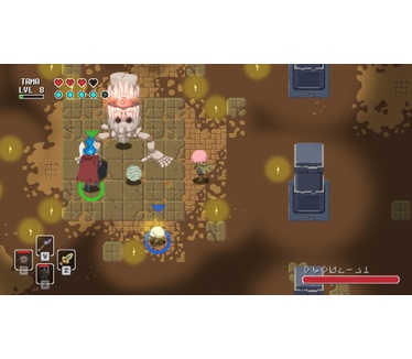 Sword of the Necromancer, PS4