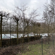 Afbeeldingslocatie: https://tweakers.net/i/FklkR6j7iMzog_SlNy3DdFrNHtU=/232x232/filters:strip_icc():strip_exif()/f/image/ndoXL3Szga7Y0dKizpXC2wCs.jpg?f=fotoalbum_tile
