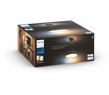 Philips Hue Lighting Enrave 42cm Hanglamp