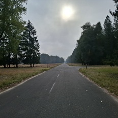 Afbeeldingslocatie: https://tweakers.net/i/Fm4LINuBT3RSybn0hGxlecDfZyU=/232x232/filters:strip_icc():strip_exif()/f/image/ShvaV80AKEStyhq6gCIvKUJq.jpg?f=fotoalbum_tile